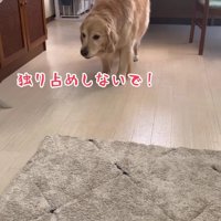 おからちゃんが援軍！！