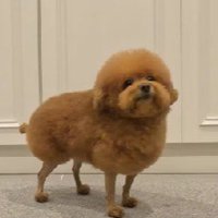 メリハリ効きすぎてる…！