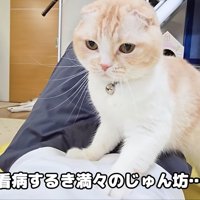 看病する気満々のじゅんちゃん