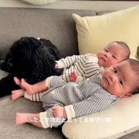 双子の赤ちゃんを枕にするわんこ