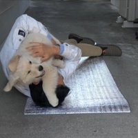 戻ってきたメイちゃんを確保♪
