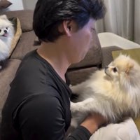 後ろにもう1匹写っている中、前足で拒否する犬