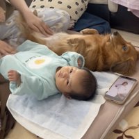 歌はポップで楽しげ