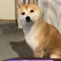 ストーブとは、しばしお別れ