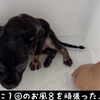 治療、頑張りました！