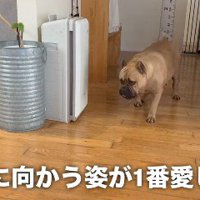 すっかり供養慣れしたラブちゃん