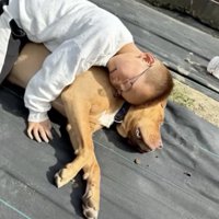 滲み出る信頼関係