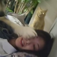 帰宅して猫を撫でたら…