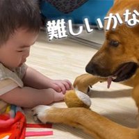 そらちゃんと赤ちゃん6