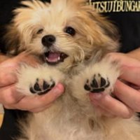 今日もニコニコ笑顔