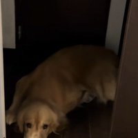 扉を塞いでいる…
