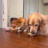 みんなでご飯の時間