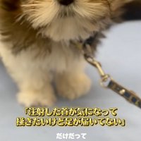 首が痒かったこげまるくん