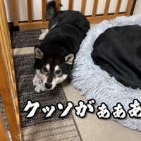 「クッソがあああ…」