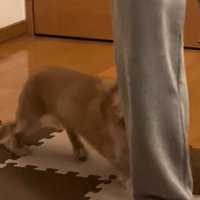 お説教が終わると…