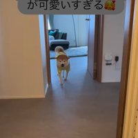 忠太くんの熱烈歓迎3