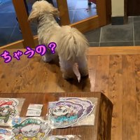 配達員さんが帰ると…