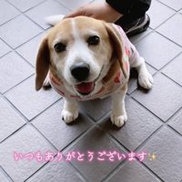 幸せいっぱいの空間が広がります