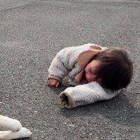 地面に這いつくばる女の子