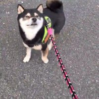 クンクン♪