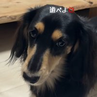 遊んでもらえなくて怒る紬ちゃん2