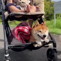 うにくんは楽々帰宅♪