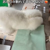 見事な桃尻に！！