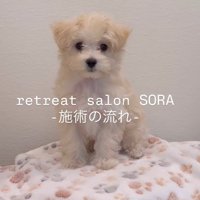 施術を体験するそらちゃん