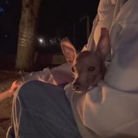 焚火の前でまったり