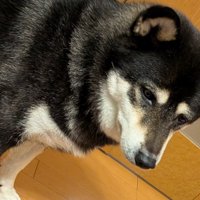 不憫