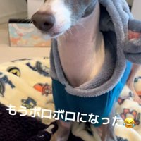 破壊神うみちゃん