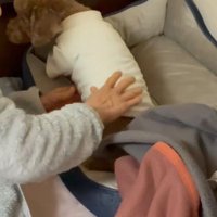 寝る前の茶々丸くんとおばあちゃん3