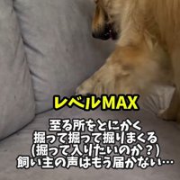 地面をホリホリ！