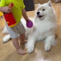 「今はいらない」