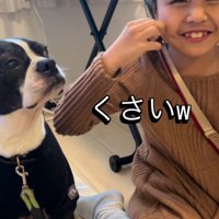 犬に舐められたところを拭きながら、笑顔になる女の子