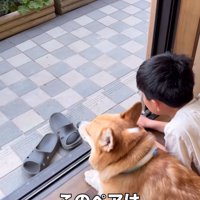 くつろぐ二人の横顔