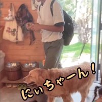 お兄ちゃん帰宅時のボスくん＆ルナちゃん3