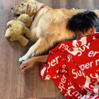 眠るお兄ちゃん