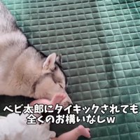 蹴られても気にしない！
