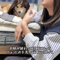 2人の温度差にクスッ