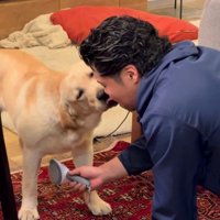 パパと毛づくろい！？