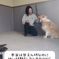 甘えん坊なそらくん