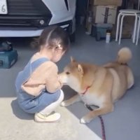 クンクン