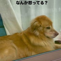 ムスッとした表情…