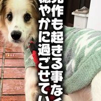 ダニエルくんとの数ヶ月間3