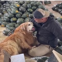 ミントくんを励ますパパ