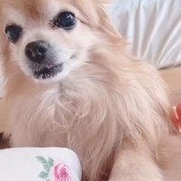 「そろそろ朝だよ」