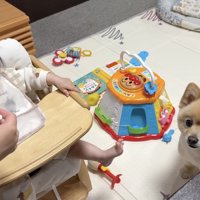 赤ちゃんにごはんを食べさせる飼い主を見上げる犬