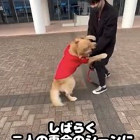 男性に前足をかける犬