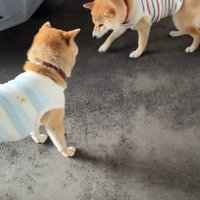 途中で休憩する余裕も♪